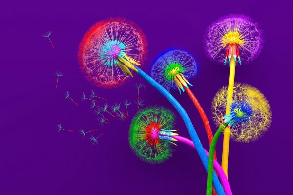 Bouquet of five flowers of blossoming dandelions of unusual colorful colors. Bright multi-colored abstract dandelions on a purple background. Creative conceptual illustration. opy space. 3D render.