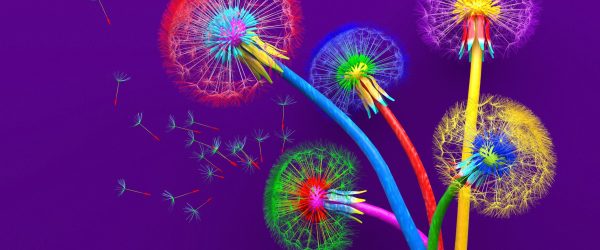 Bouquet of five flowers of blossoming dandelions of unusual colorful colors. Bright multi-colored abstract dandelions on a purple background. Creative conceptual illustration. opy space. 3D render.